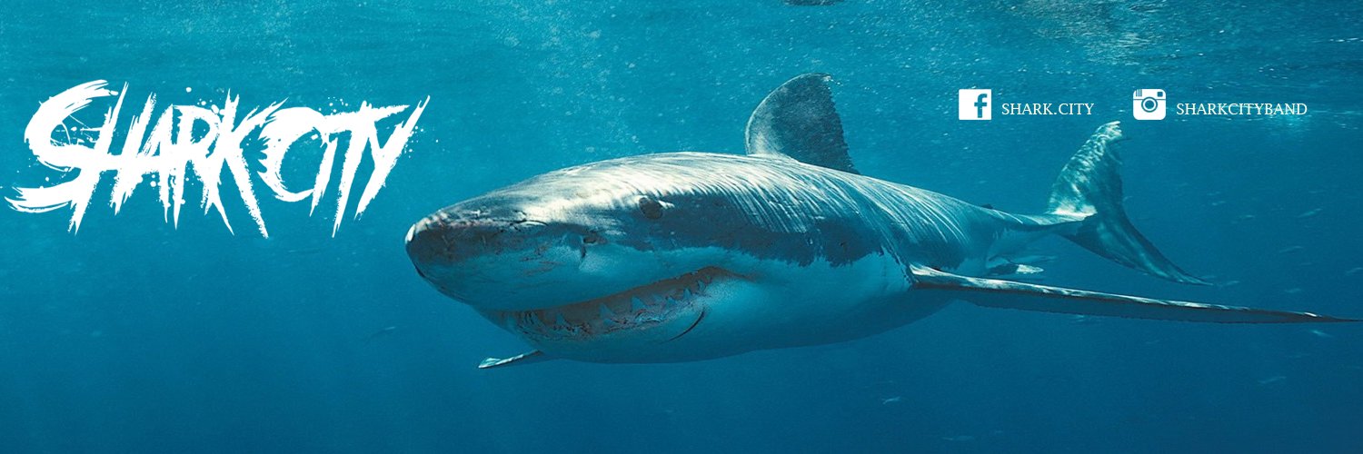 SharkCityBand's profile banner image
