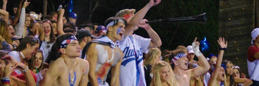 DubVFaithful's profile banner image