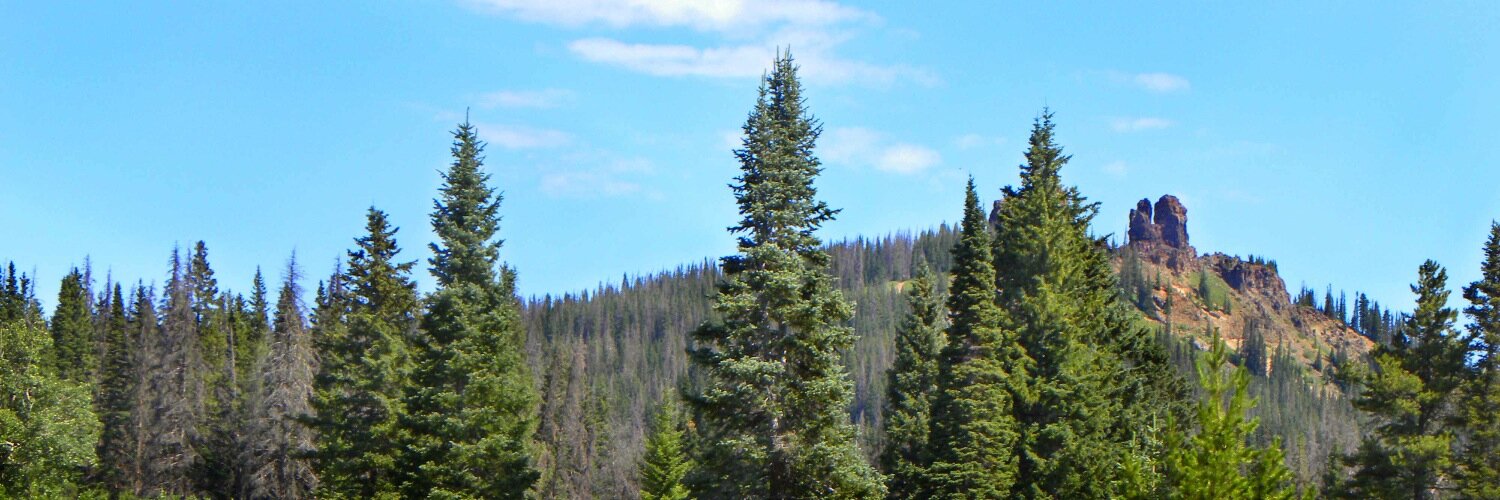 RJDeal's profile banner image