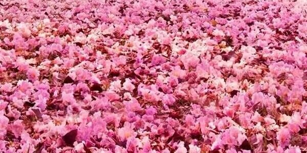 StephO_801's profile banner image