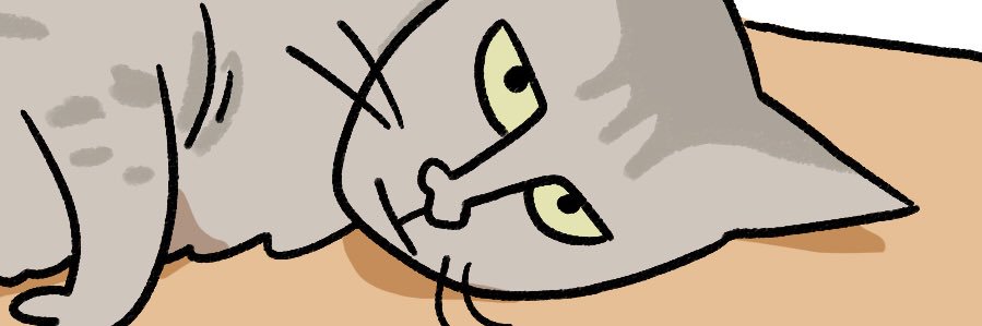 PELYTON's profile banner image