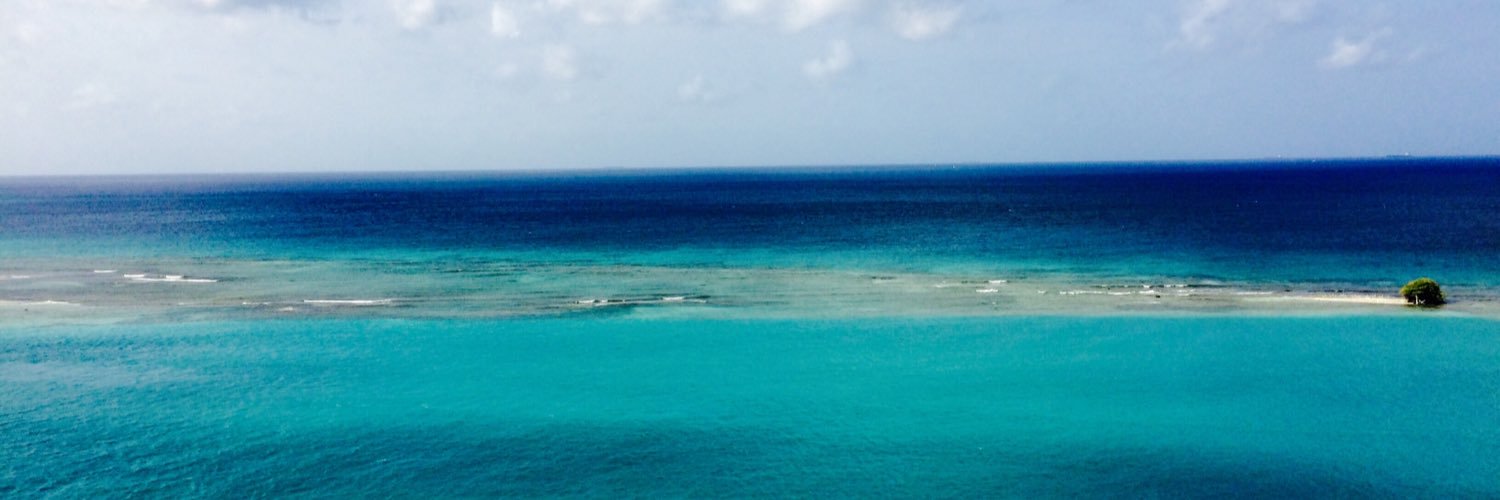 haileemichel's profile banner image