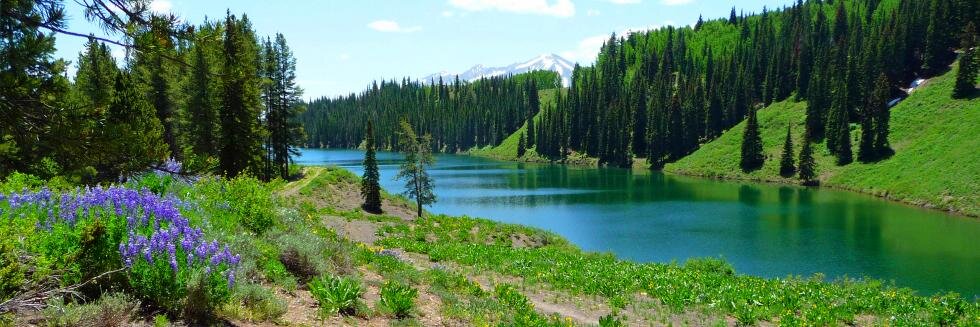 Upper Gunnison River banner