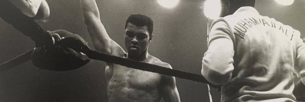 Undisputed Champion Network banner