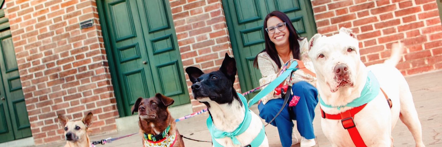 DianaMarSanta's profile banner image