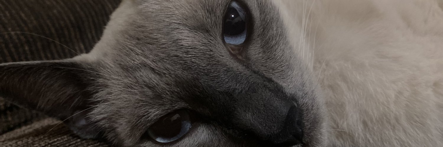 siuvanasill's profile banner image