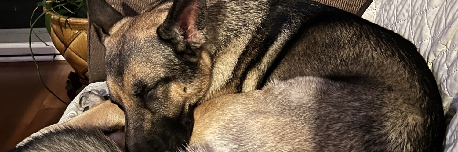 radhwaa_'s profile banner image