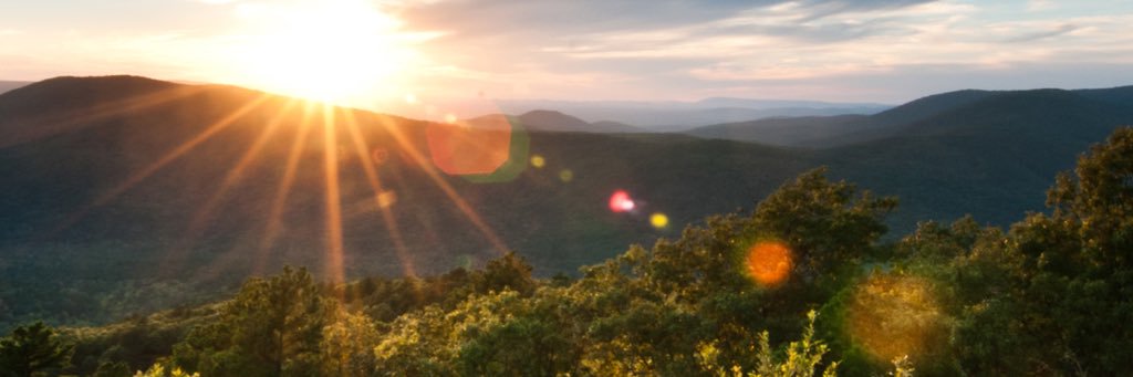 microwavering's profile banner image