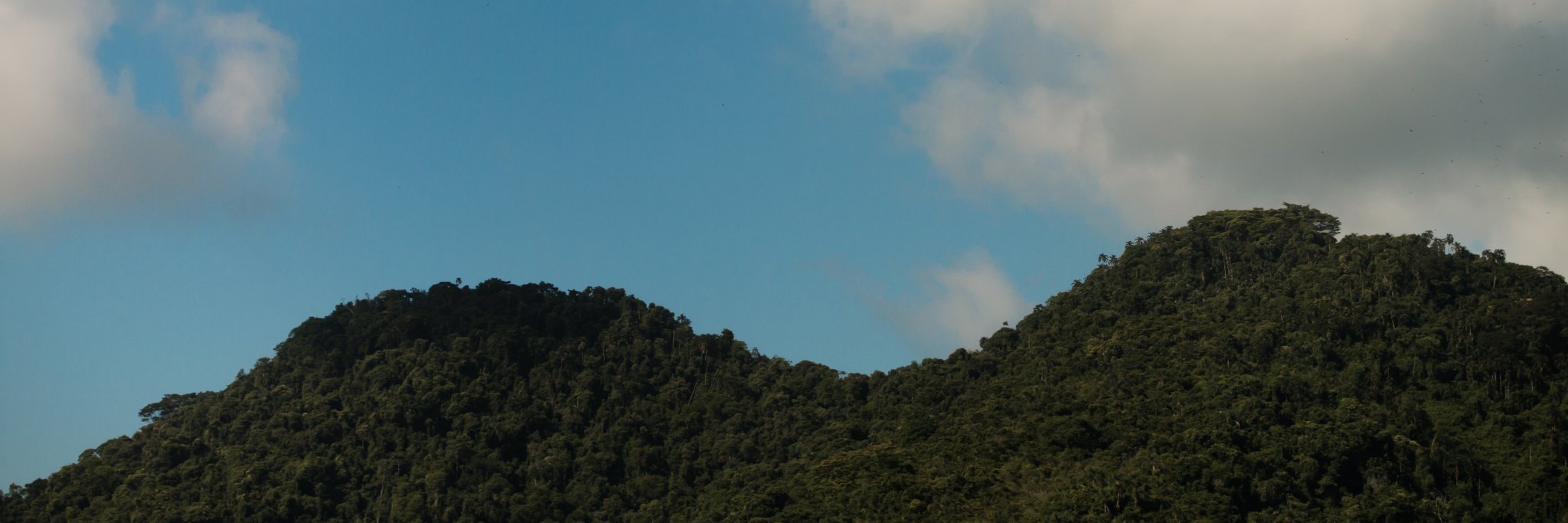 vealaa's profile banner image