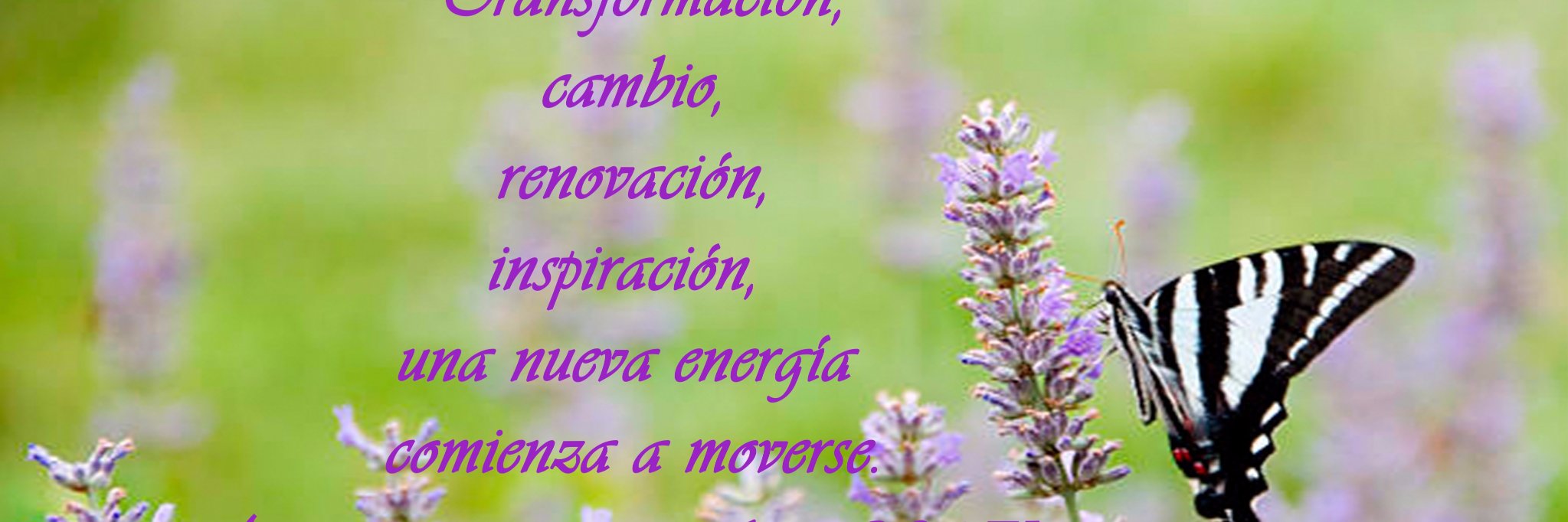 yoganaturalA's profile banner image
