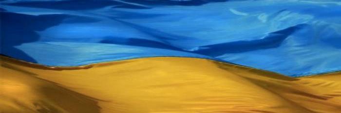 Mykhailo Zhernakov banner