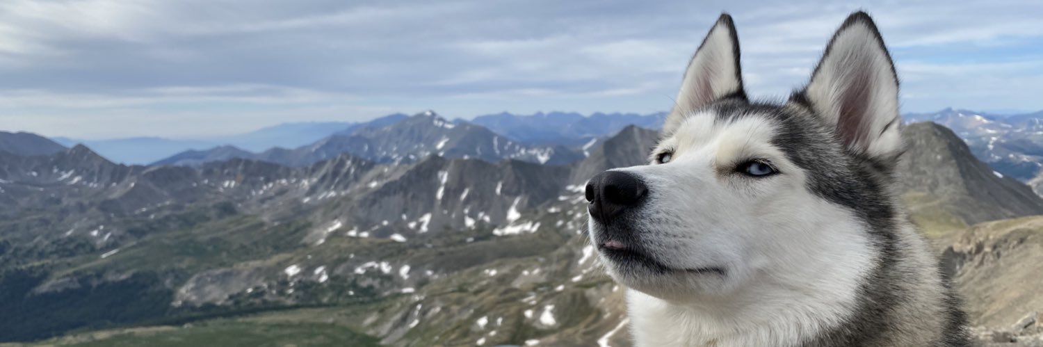 camdeardorff's profile banner image