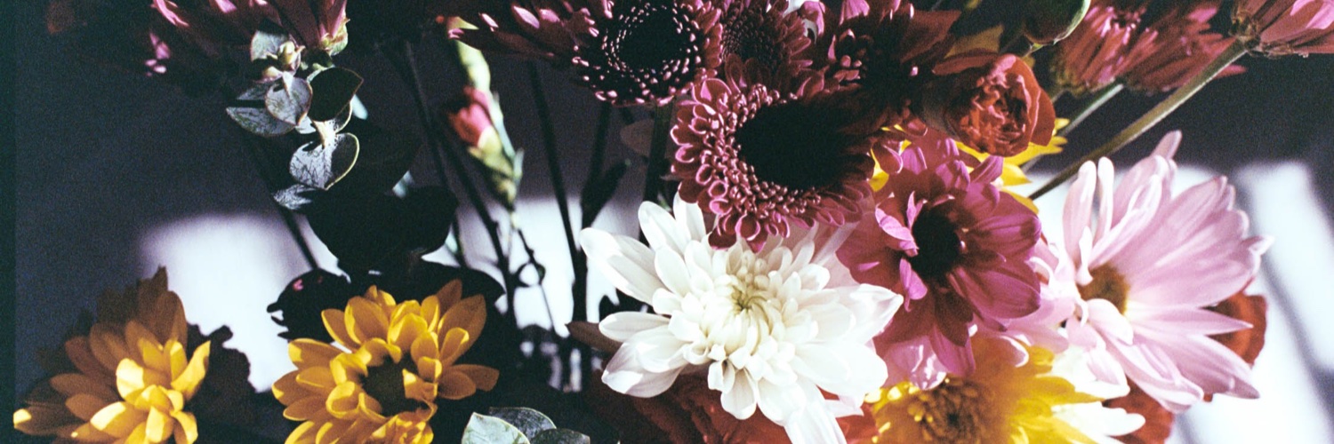 Metacara's profile banner image