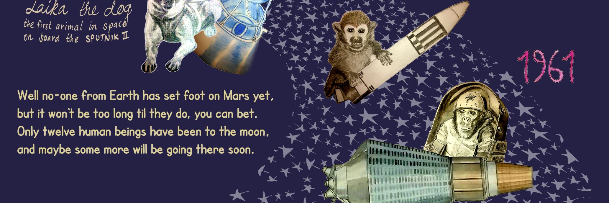 ShannaTOSAM's profile banner image