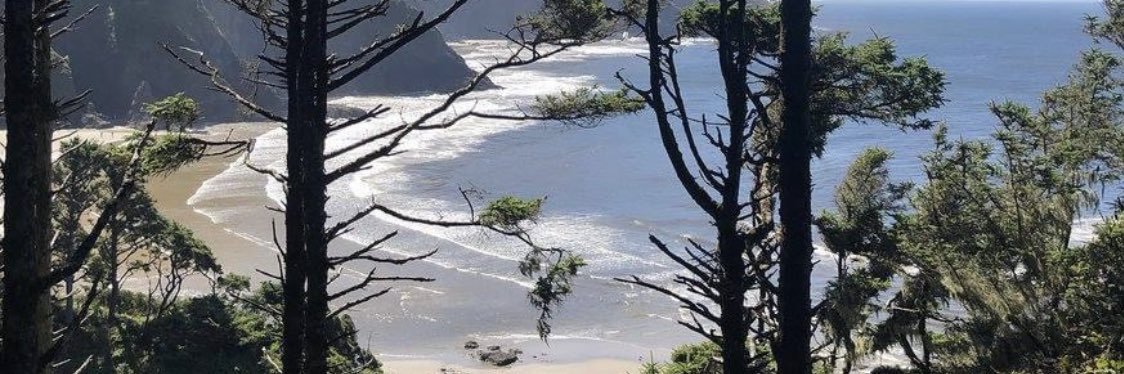 🥭 | عمـادة و ريـادة 🇸🇦💛🖤 banner