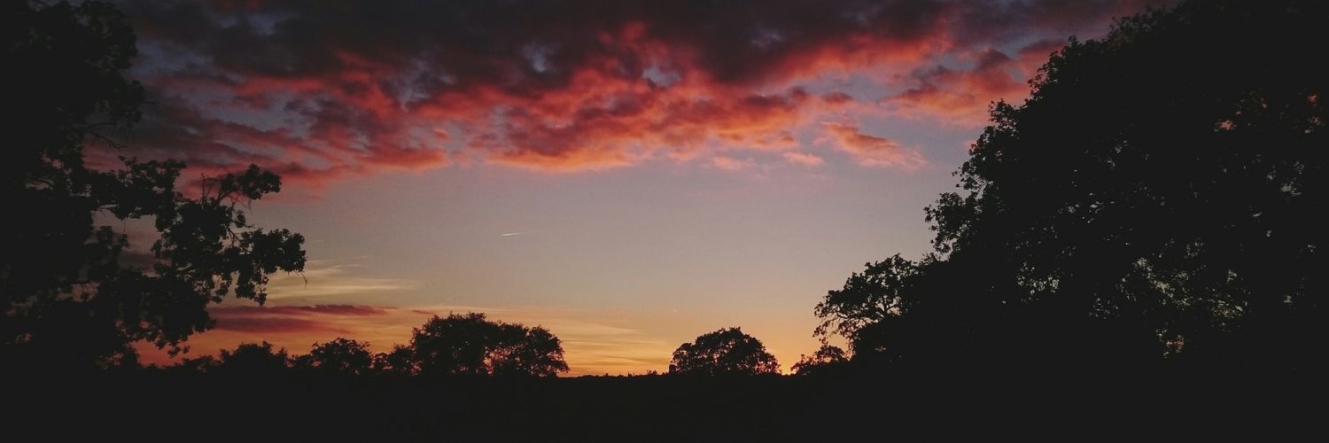 TitoRoby11's profile banner image