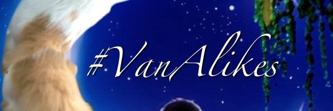Vanalikes's profile banner image