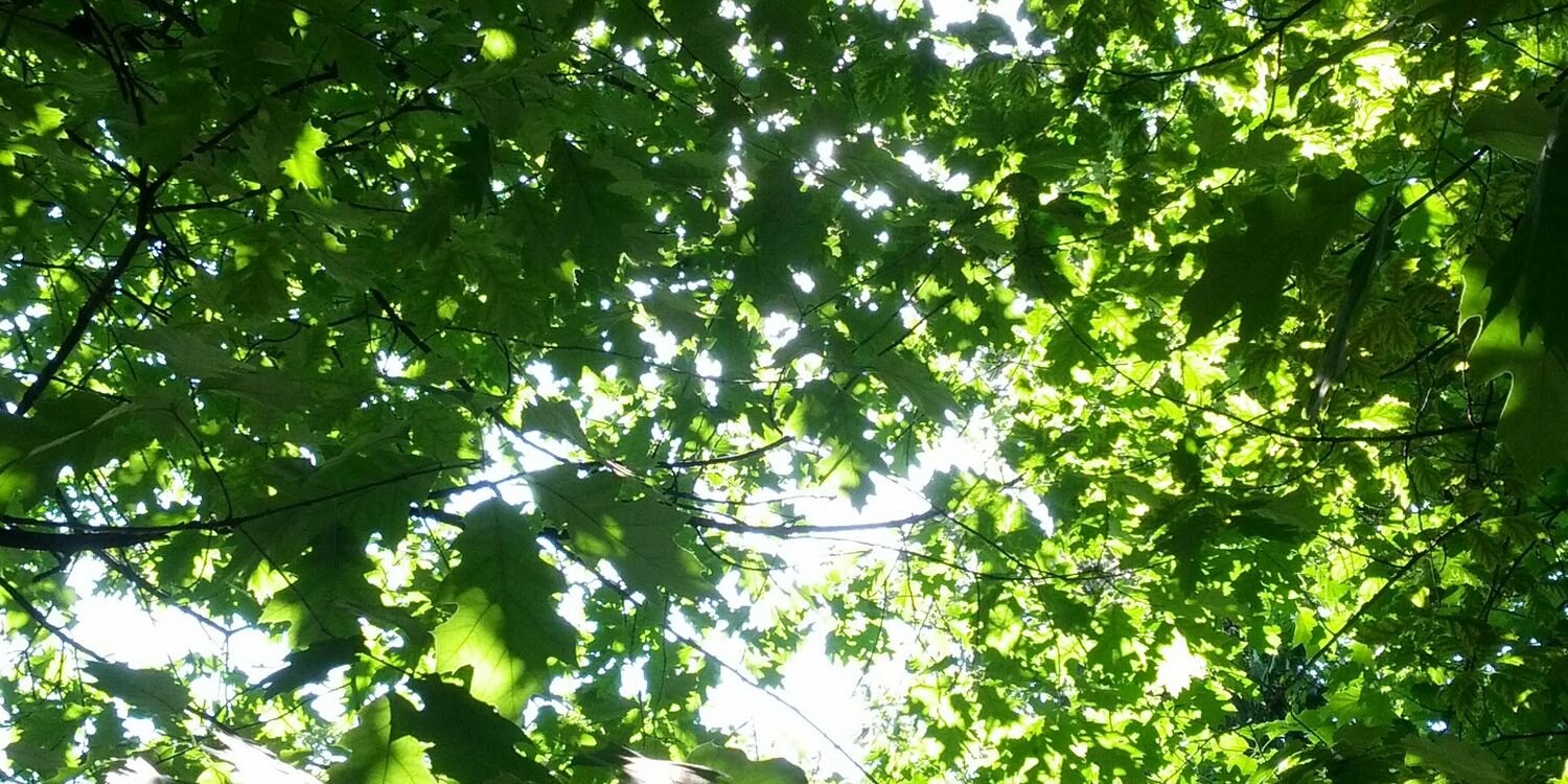 ryuitxi's profile banner image