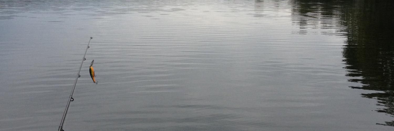 cdubbs86's profile banner image