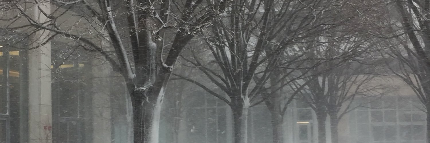 paliaped's profile banner image