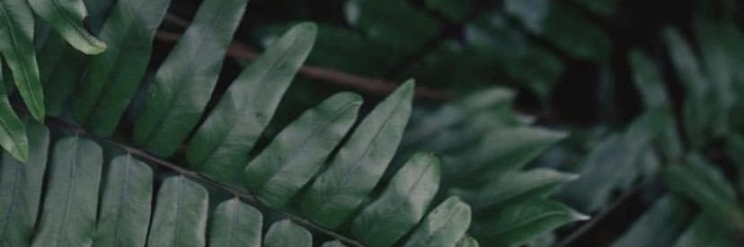 berrakaates's profile banner image