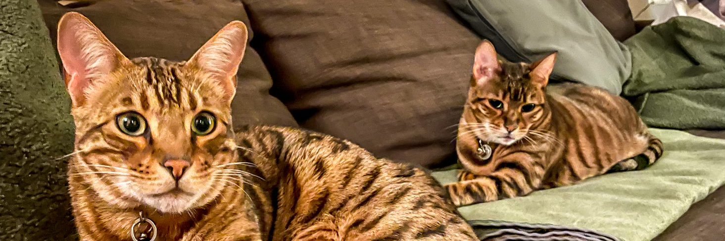 Gavin Crawford banner