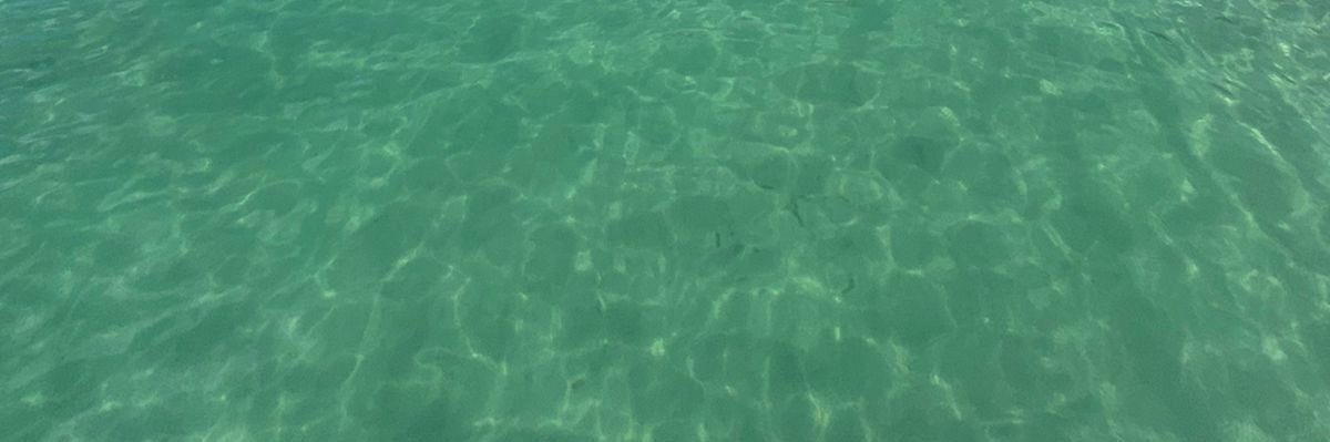 ari_lede's profile banner image