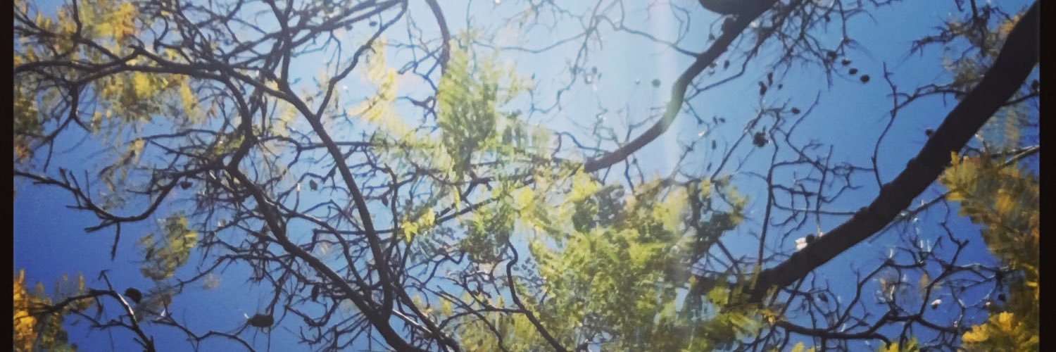 japh19's profile banner image