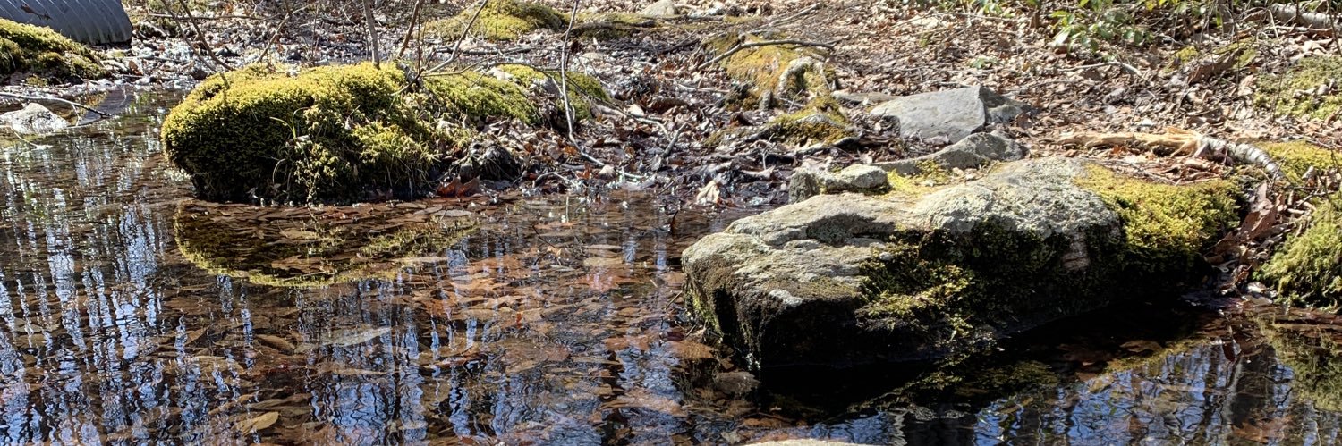 Nicole Belmont banner