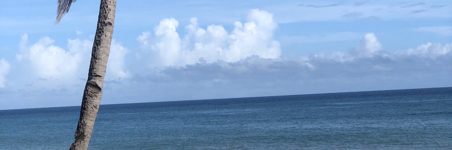erickjpm05's profile banner image