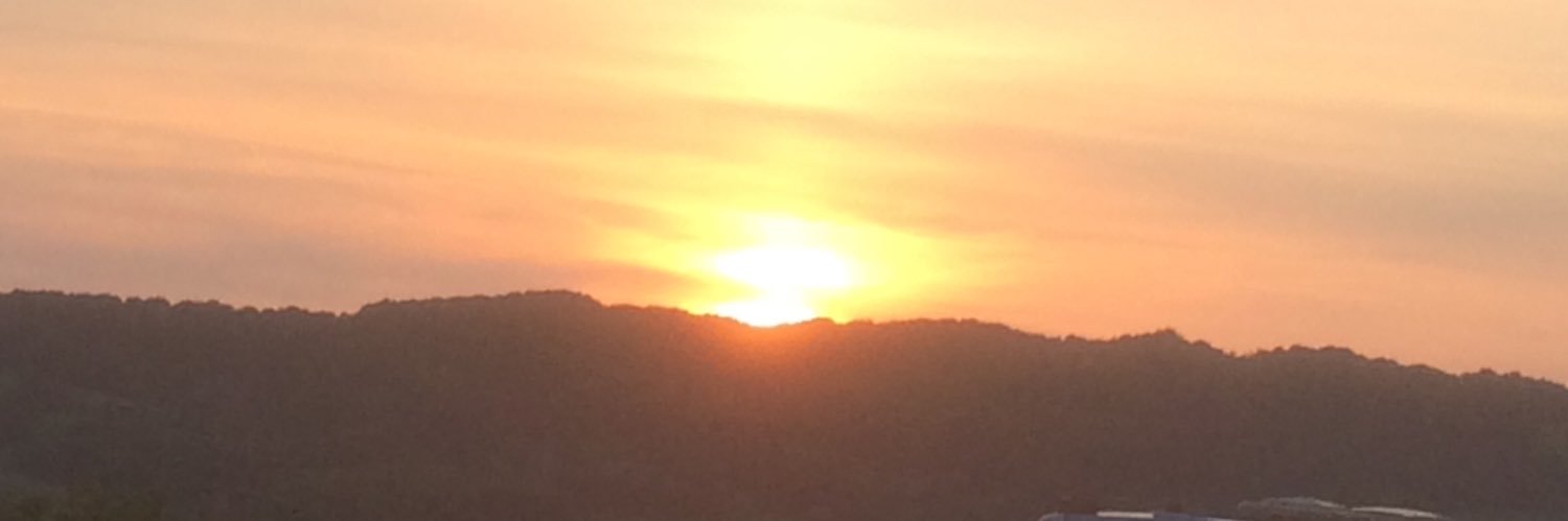 Gill Donnell MBE banner