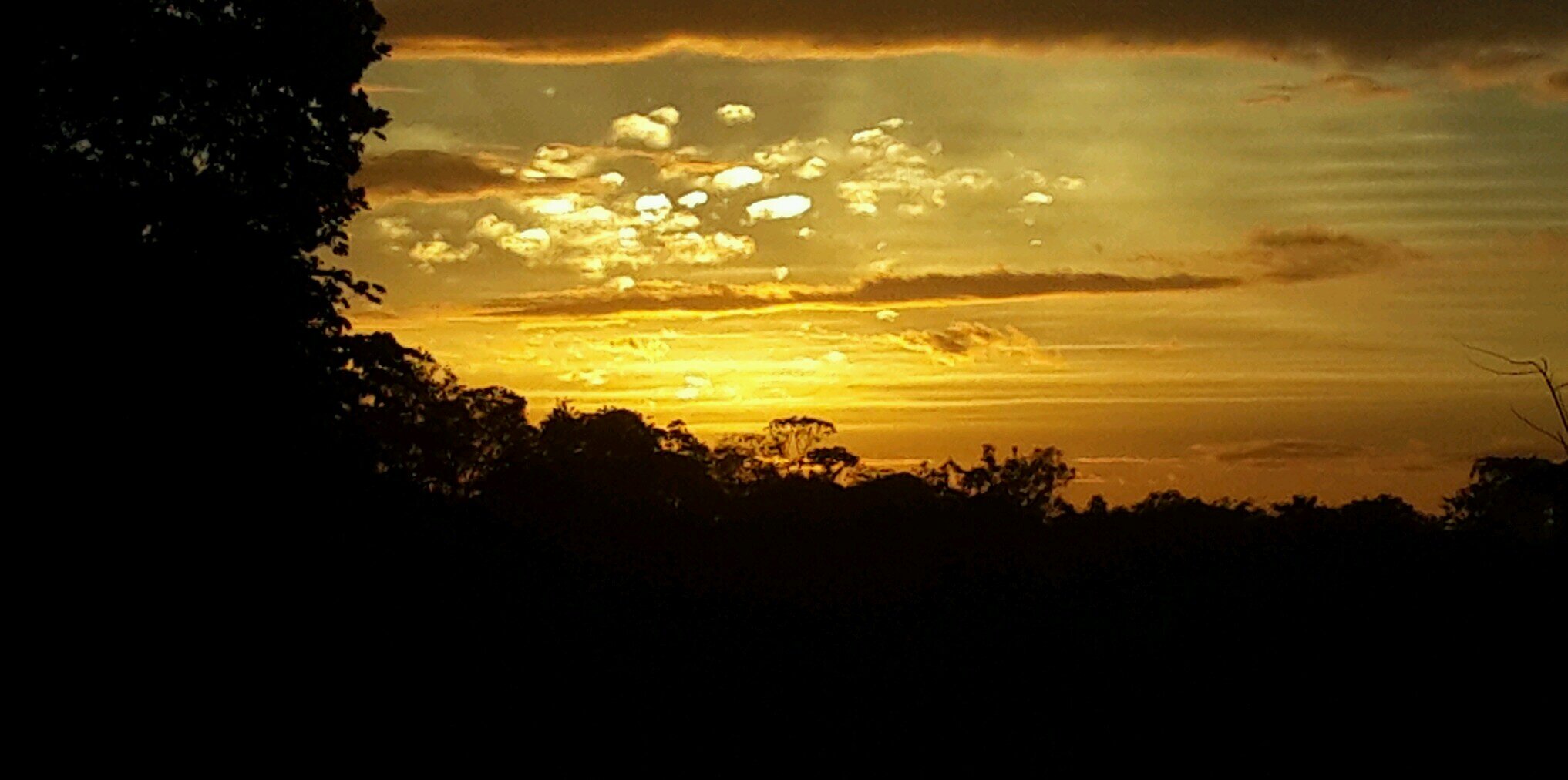 ralbelo's profile banner image