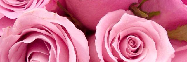 gmpiscitelli's profile banner image