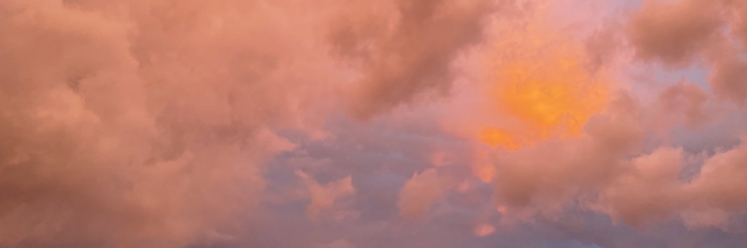Bailey Vassalli banner