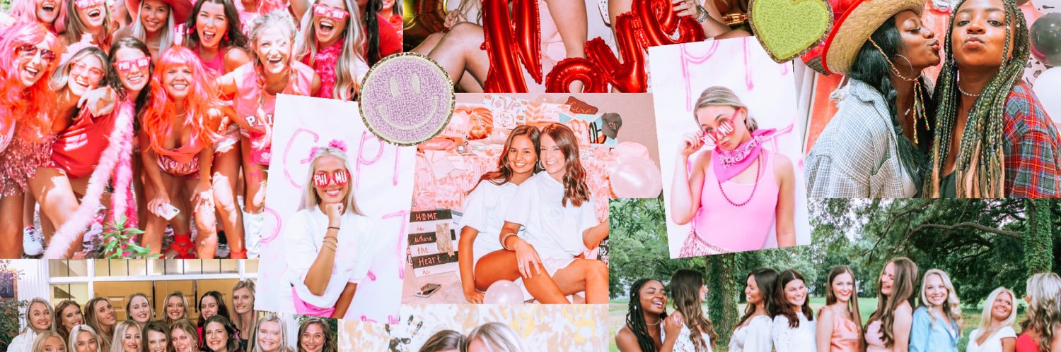 PHI MU ╳ ALPHA OMICRON banner