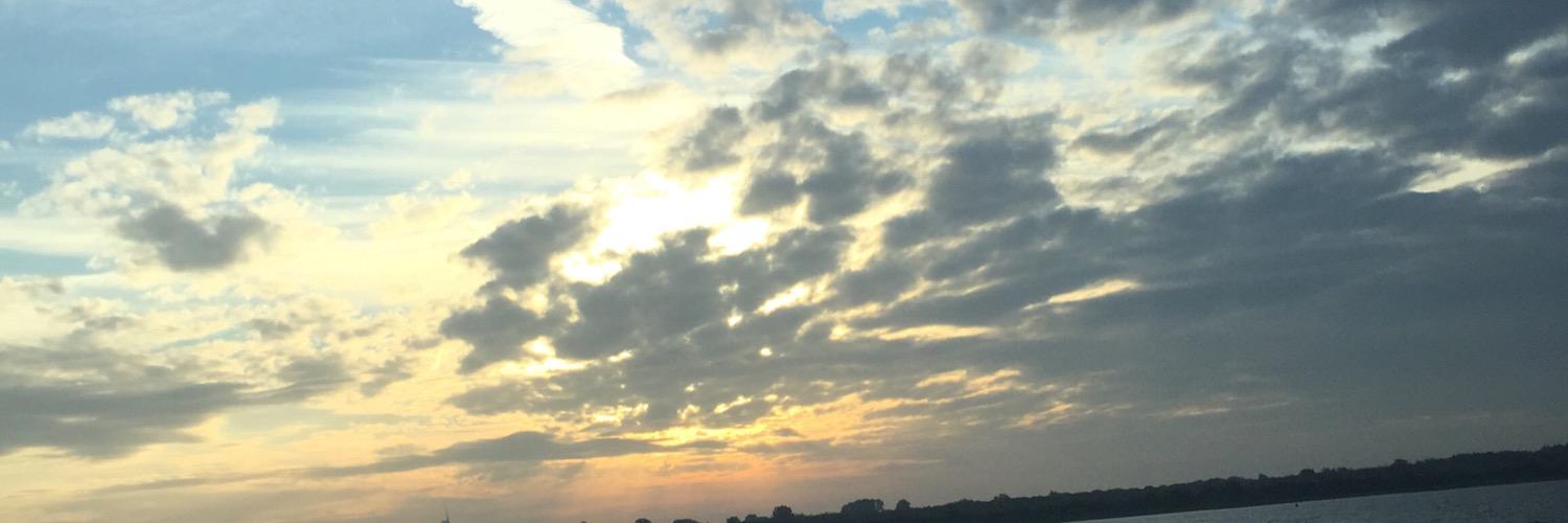 IlonaBuijze's profile banner image