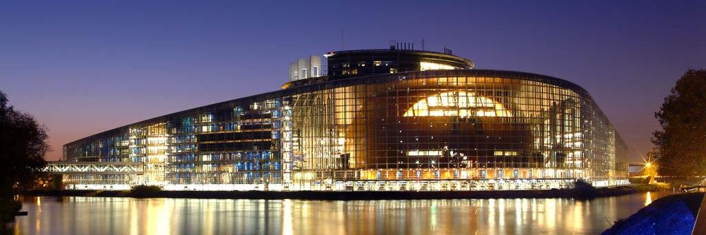 Simona Suardi banner