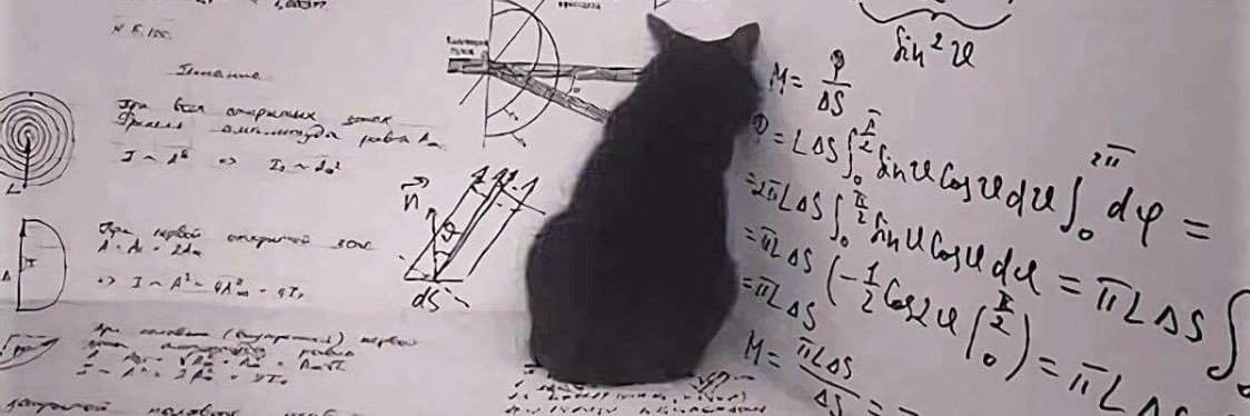 Schrodinger's Cat banner