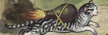 jplatypus_'s profile banner image