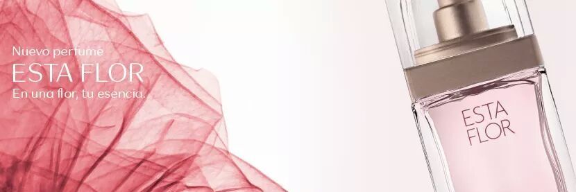 Flor_Ascencio's profile banner image