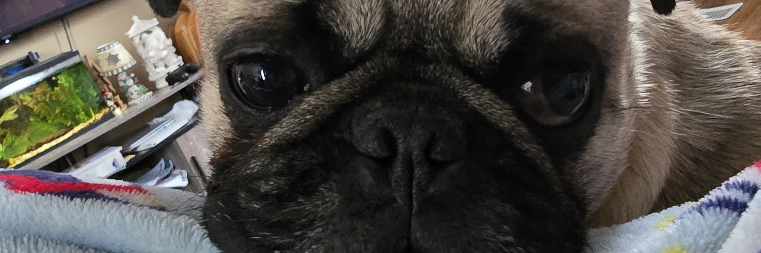 Aquarity's profile banner image