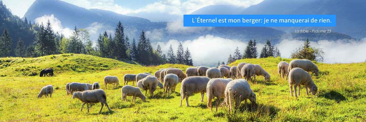 Versets Biblique banner
