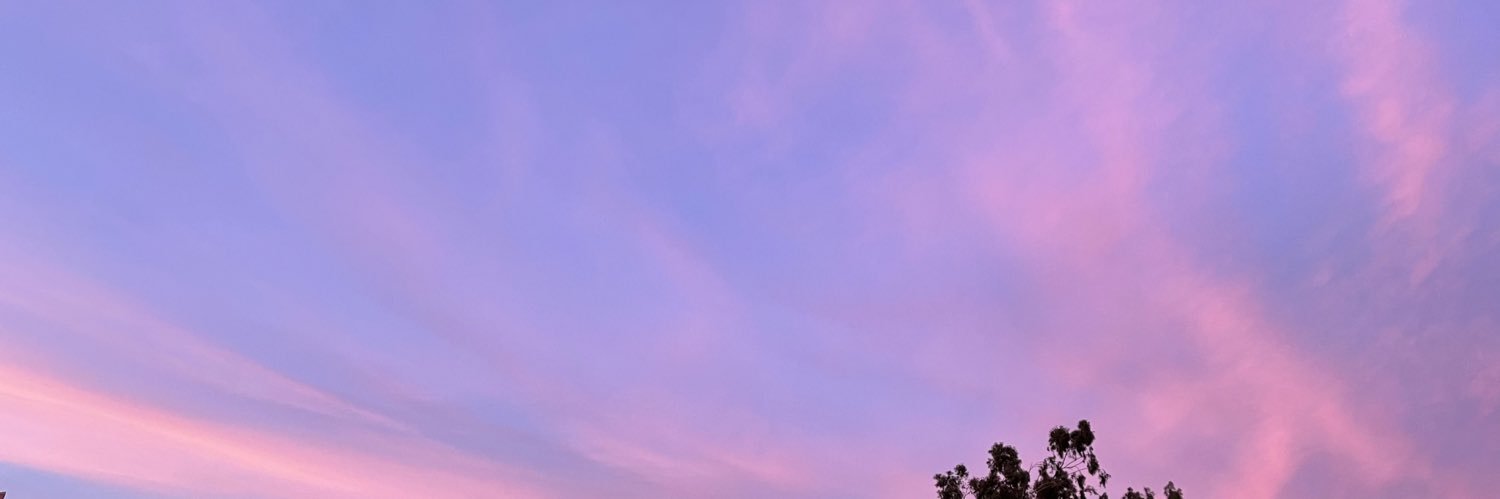 jessmirelesc's profile banner image
