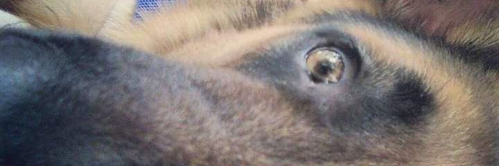 mikevalverde30's profile banner image