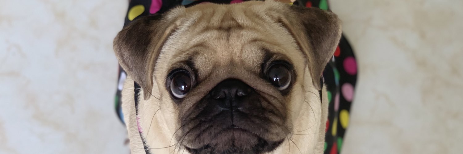michicepedaa's profile banner image