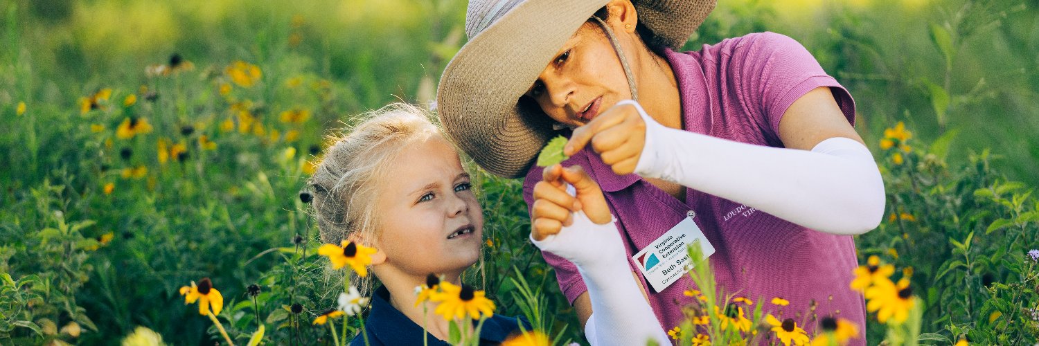Virginia Cooperative Extension banner