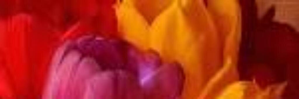kimitaMetal's profile banner image
