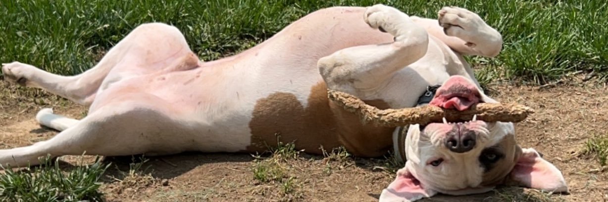 StlHubbs's profile banner image
