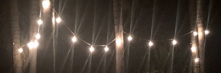 camicarlu's profile banner image