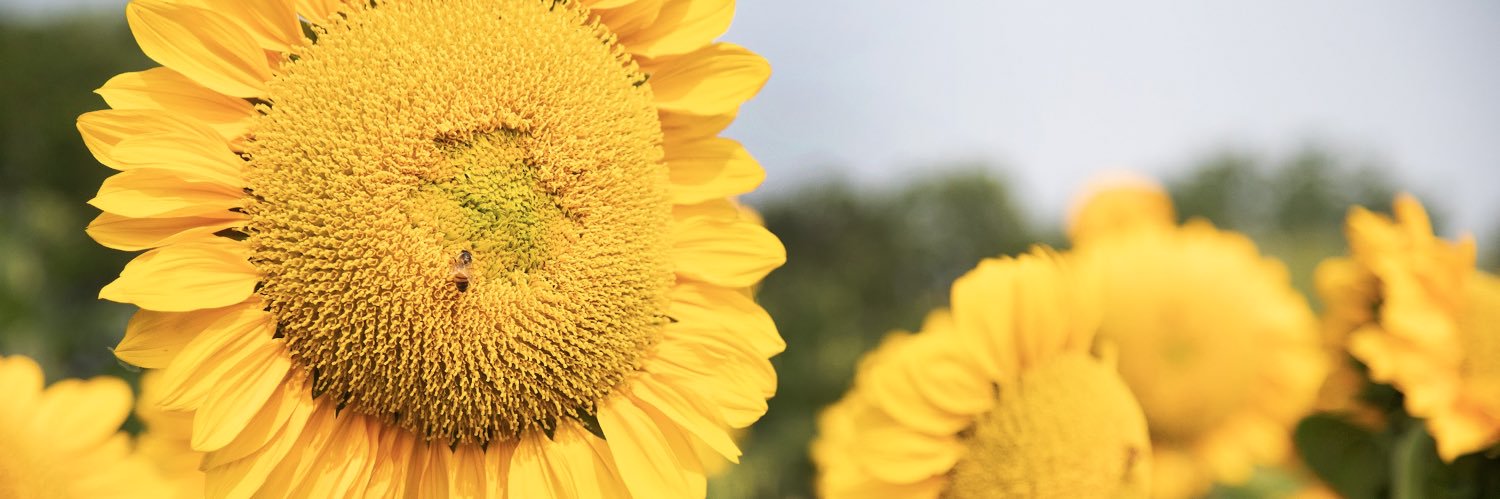 SamHendrzak's profile banner image